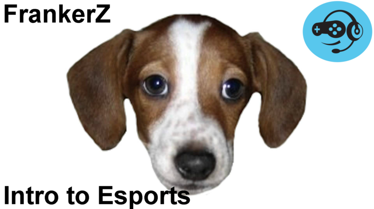esportsmaybe What is a FrankerZ? (Intro to Esports)